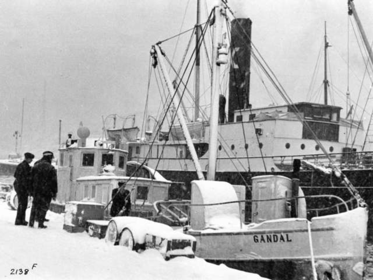 Anders Beer Wilse, Dampbåter/Skip, Motorbåter/Skip
