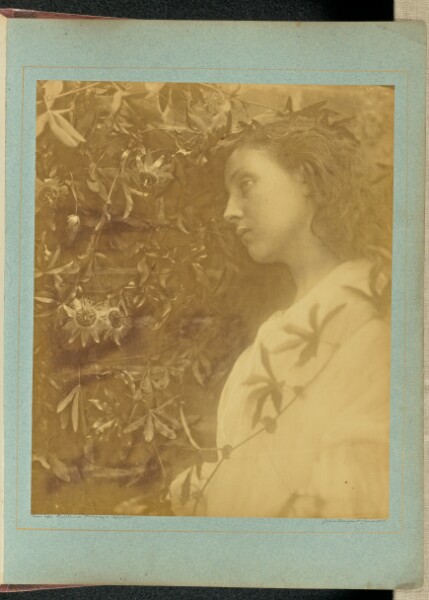 Julia Margaret Cameron, Maud "There has fallen a splendid tear" / "From the passion flower at the gate."