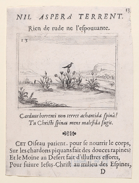 Jacques Callot, L'Oiseau Posé sur un Chardon en Fleurs (The Bird Standing on Thistle Flower), plate 13 from "Lux Claustri ou La Lumière du Cloitre" (The Light of the Cloisters)