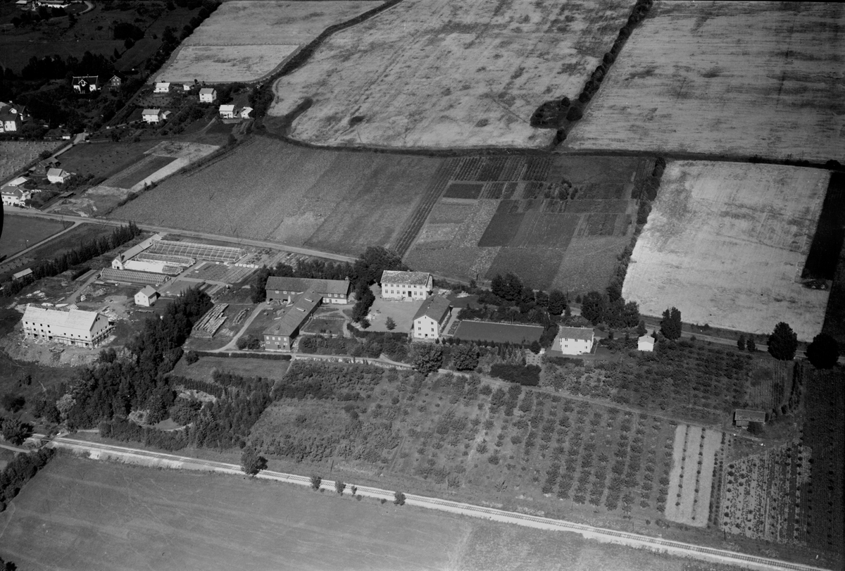 Anno Domkirkeodden, Flyfoto av Vea Hagebruksskole, Ring, Ringsaker.