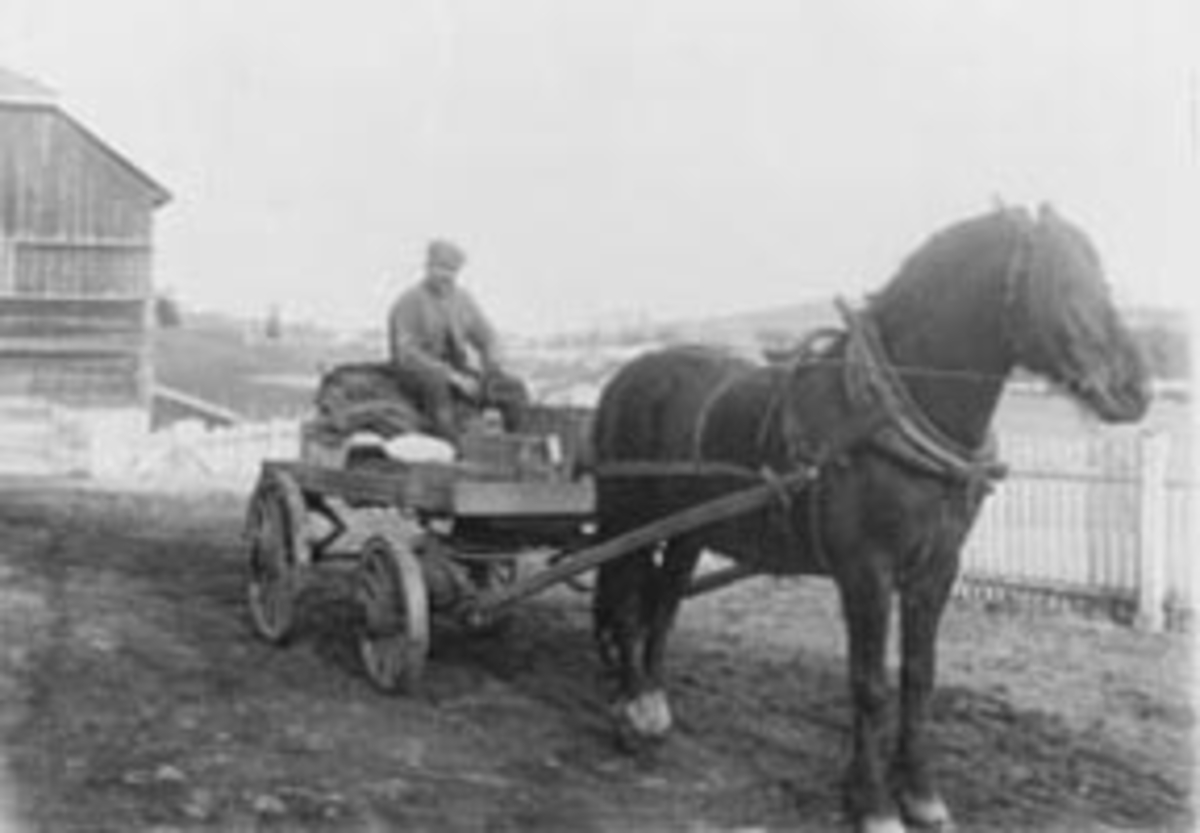 Anno Domkirkeodden, Kjørekar Lars Mathiassen (1872-1968) med hesten "Dovre". Vogn med kasser og kurv på lasset. Gardskar hos Smestad på Eriksrud Landhandleri, Åshøgda, Ringsaker. Han ble kalt for "Lars Eriksrud". Hestekjøretøy.