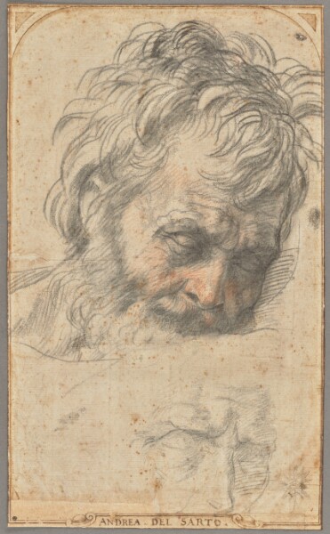 Andrea del Sarto, Study for the Head of Saint Joseph (recto); Two Studies of Legs (verso)