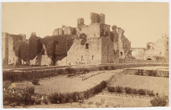 Unknown, Photograph
