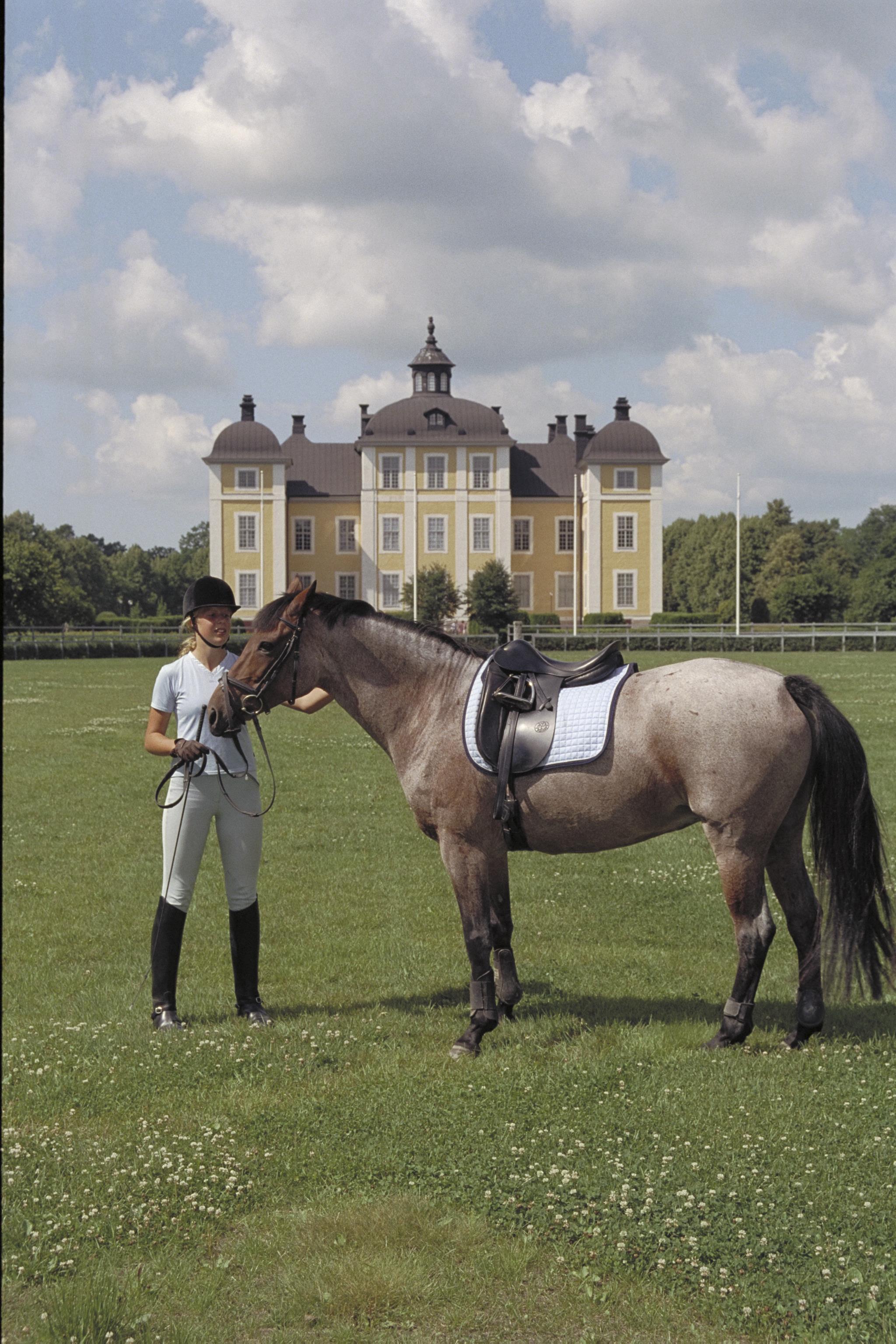 Bengt A Lundberg, Strömsholms slott