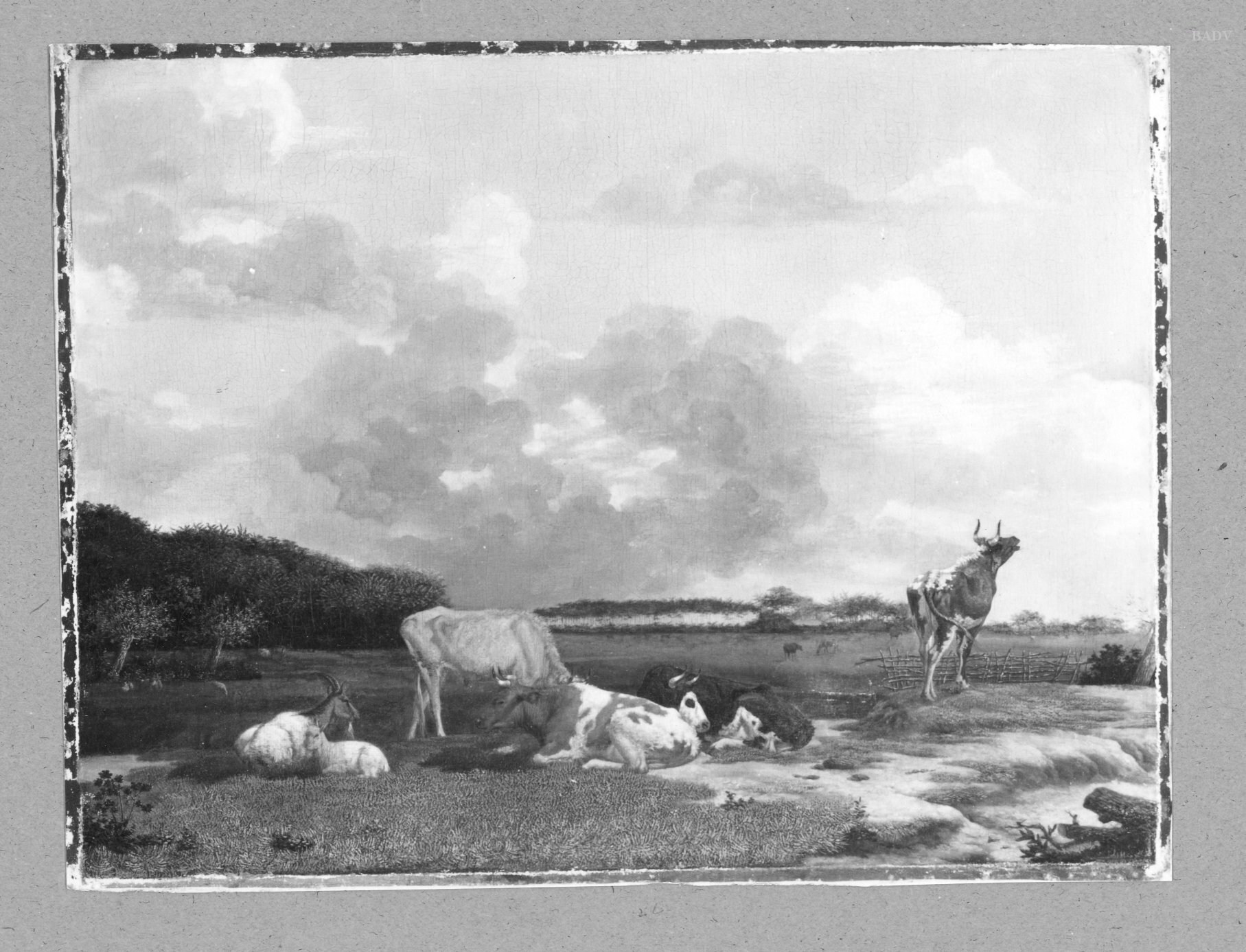 Paulus Potter, cows on the meadows