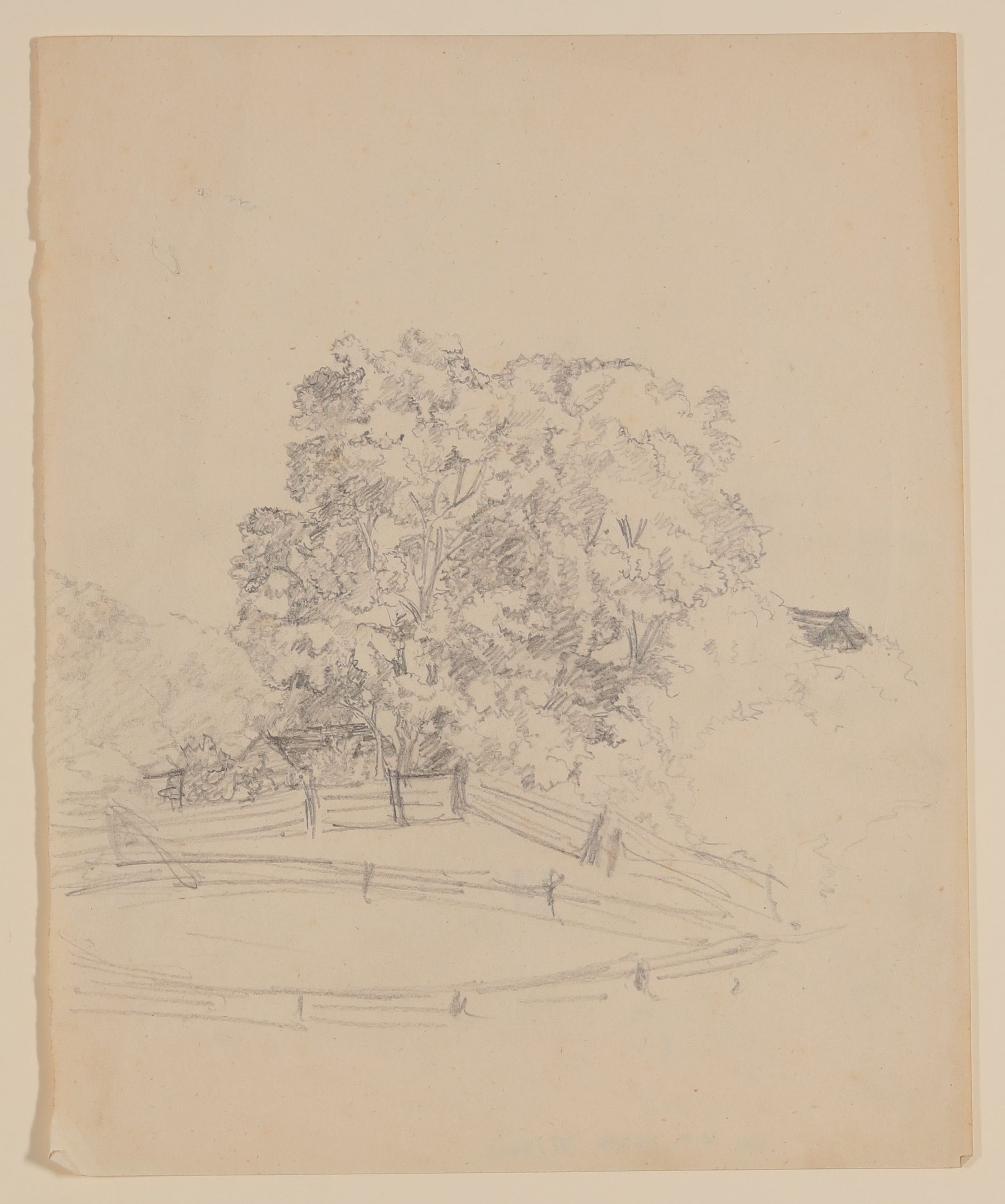 Maximiliane von Arnim, Weide vor Bäumen [lose einliegendes Blatt aus Maximiliane von Arnims Skizzenbuch mit Motiven aus Wiepersdorf und Rügen]