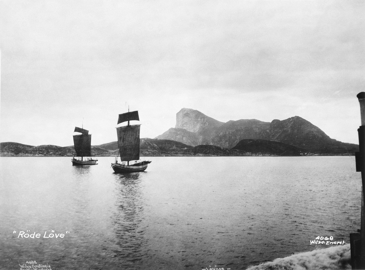 Anders Beer Wilse, Prot: Løvøen 29/7 1905