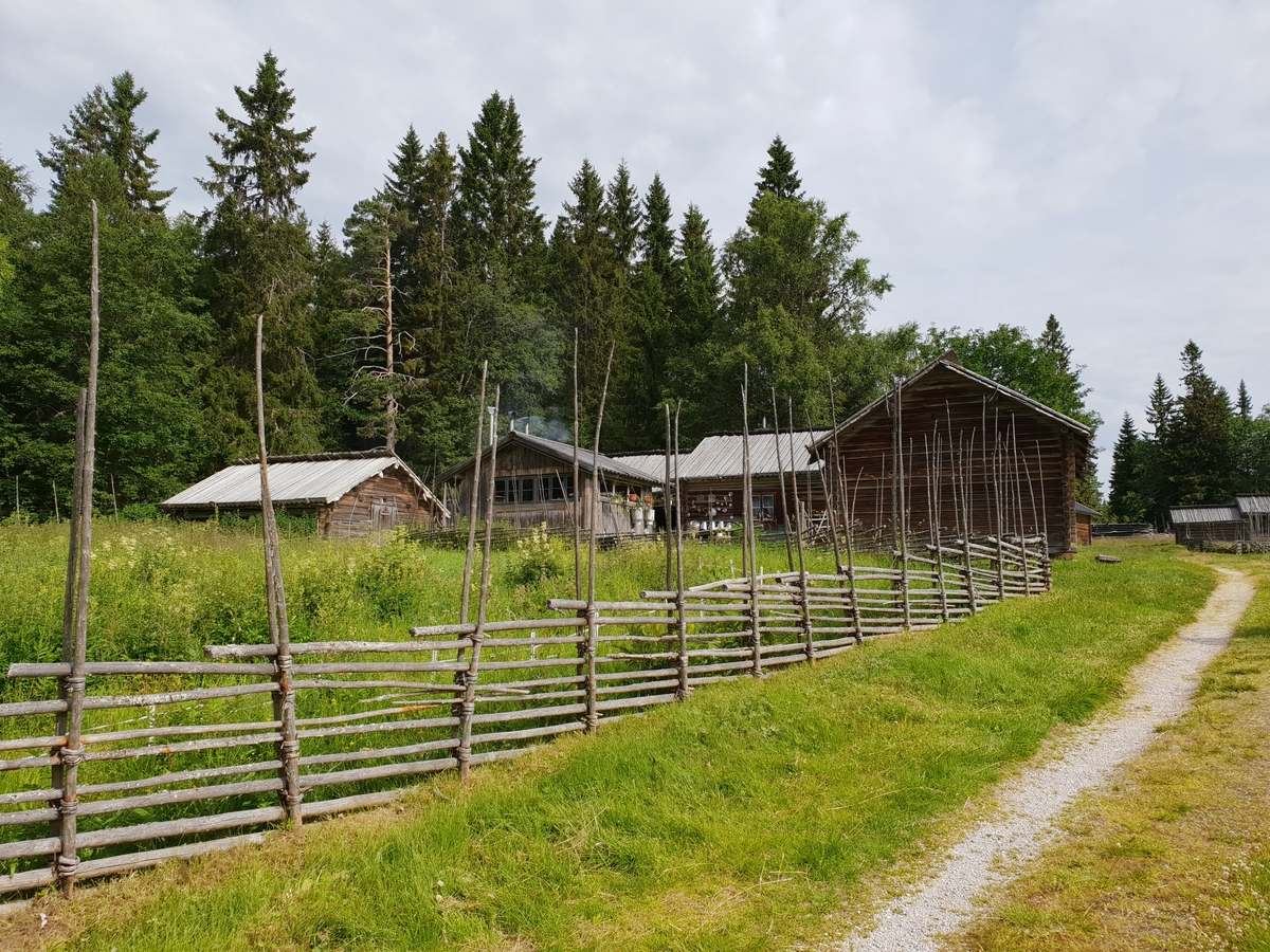 Jennie Tiderman-Österberg, Vy, Skräddar-Djurberga fäbod, Orsa, 2018.