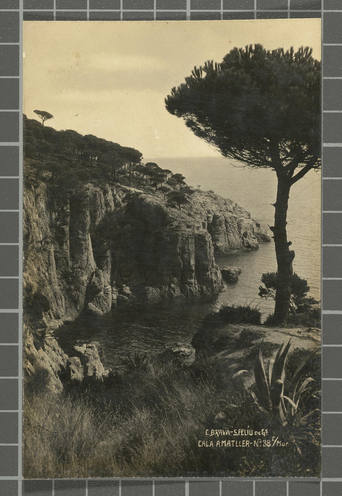Ricard Mur Dargallo, Cta. Brava. S. Feliu de Gs. Cala Amatller - Nº38