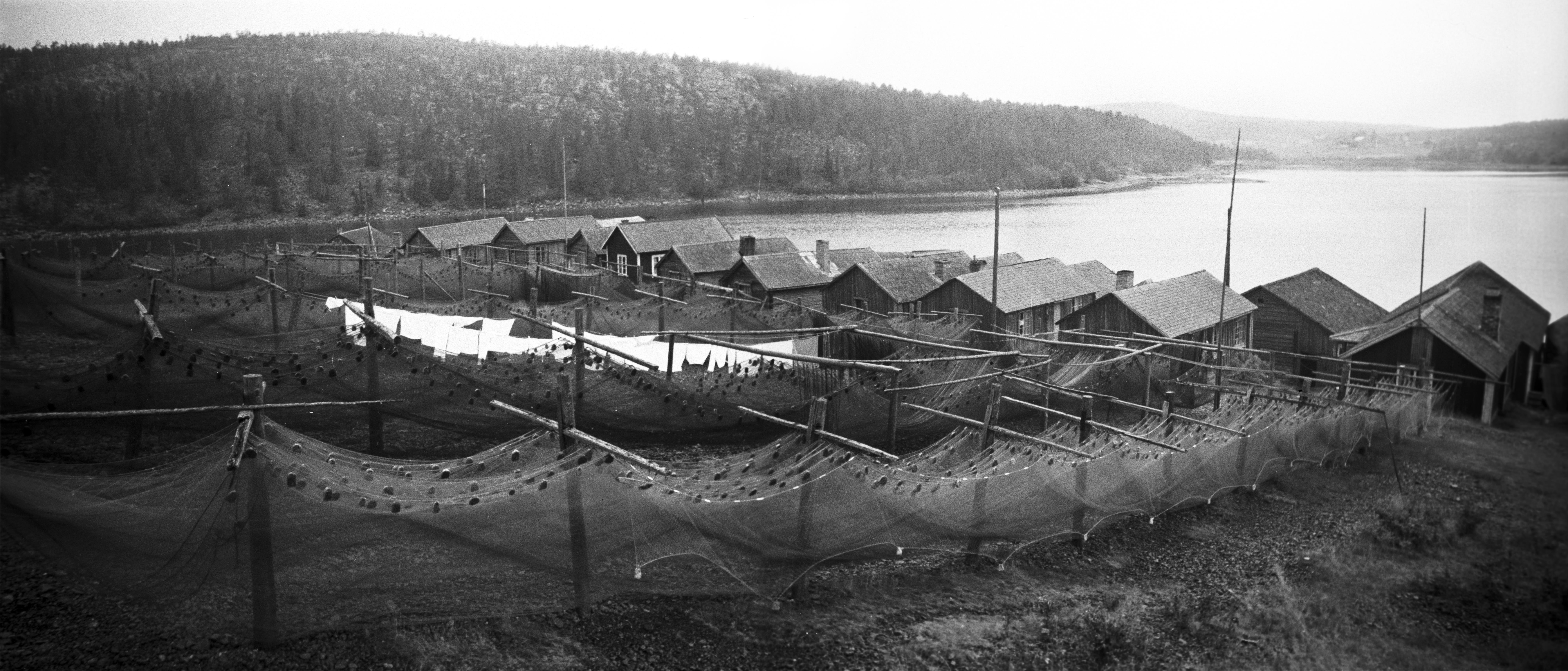 Bertil Berthelson, Norrfällsviken
