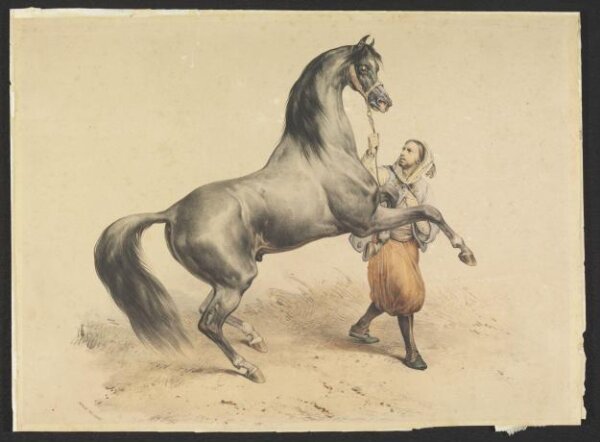 Victor Adam, Rearing Arab horse held by groom