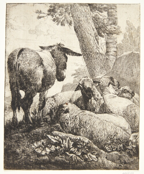 Johann Heinrich Roos, Stående æsel og fire liggende får
