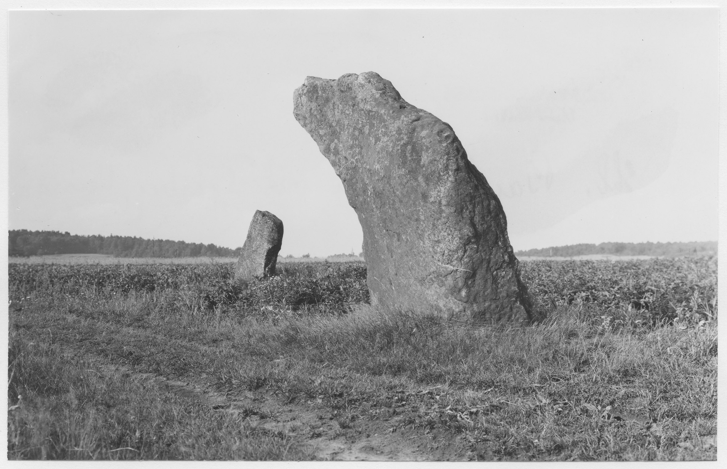 Mårten Sjöbeck, Bautastenar vid Tjärby, Örelids stenar