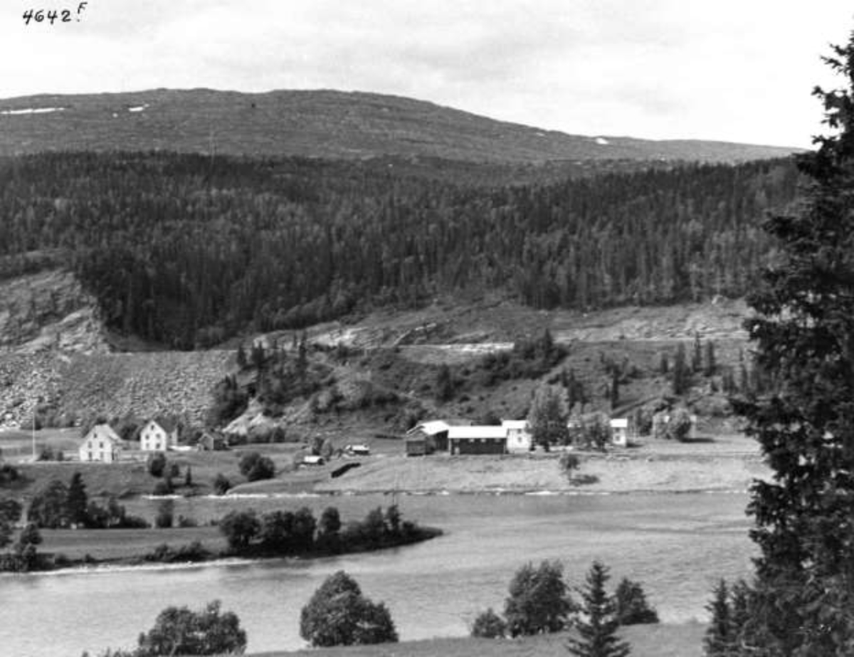 Anders Beer Wilse, -5795