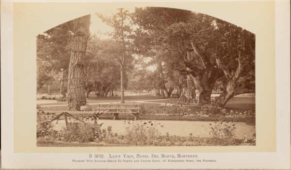 Carleton Watkins, Lawn View, Hotel Del Monte, Monterey