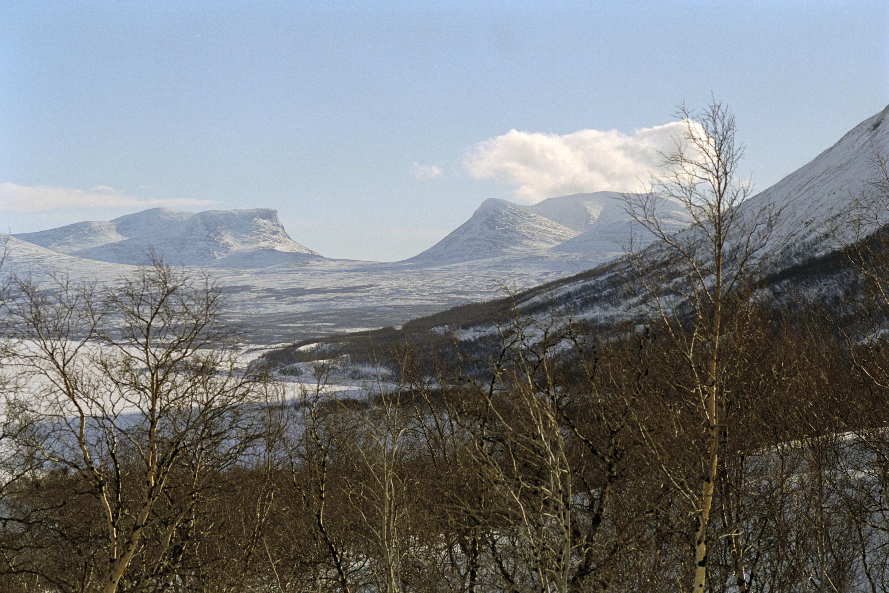 Bengt A Lundberg, Lapporten