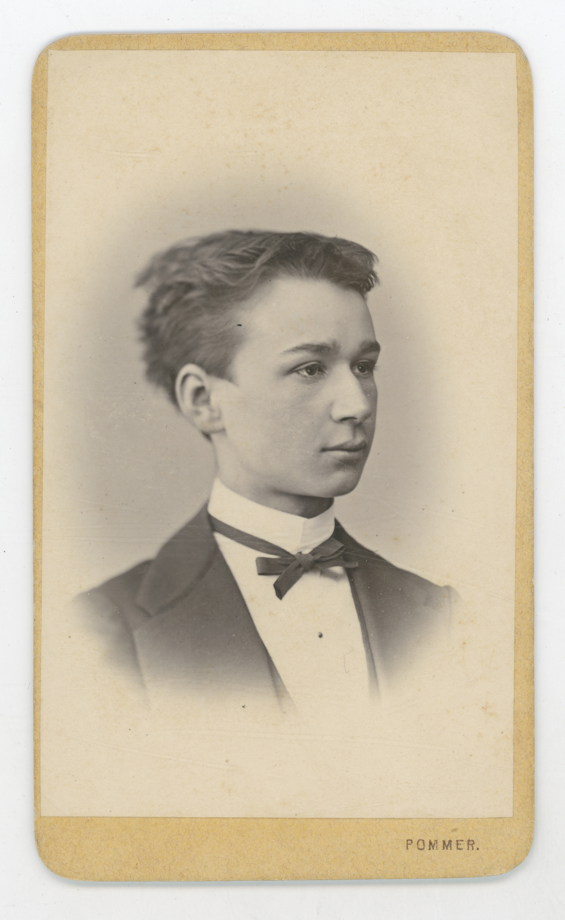 Franjo Pommer, Portret mladića