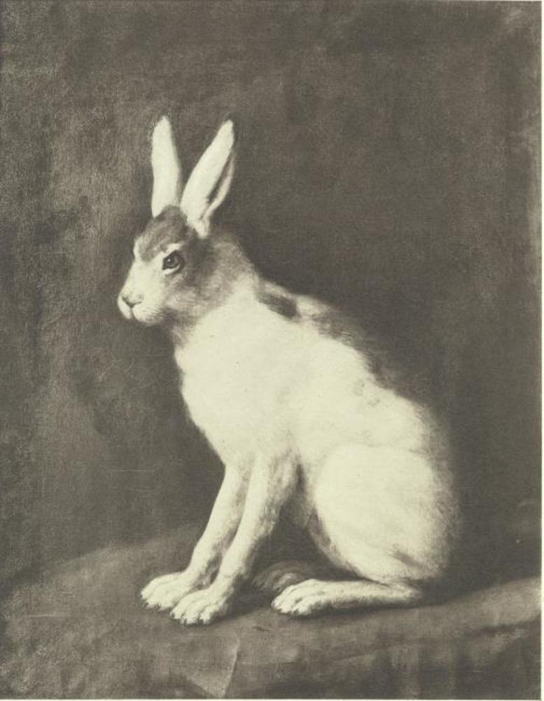 David Klöcker Ehrenstrahl, Hare
