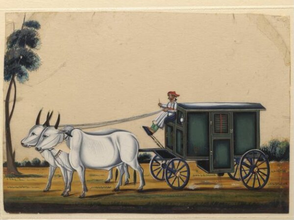 Unknown, A closed carriage drawn by bullocks
