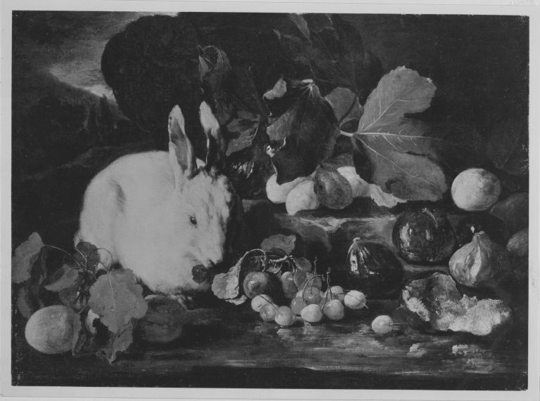 Franz Werner Tamm, Stillleben mit Kaninchen