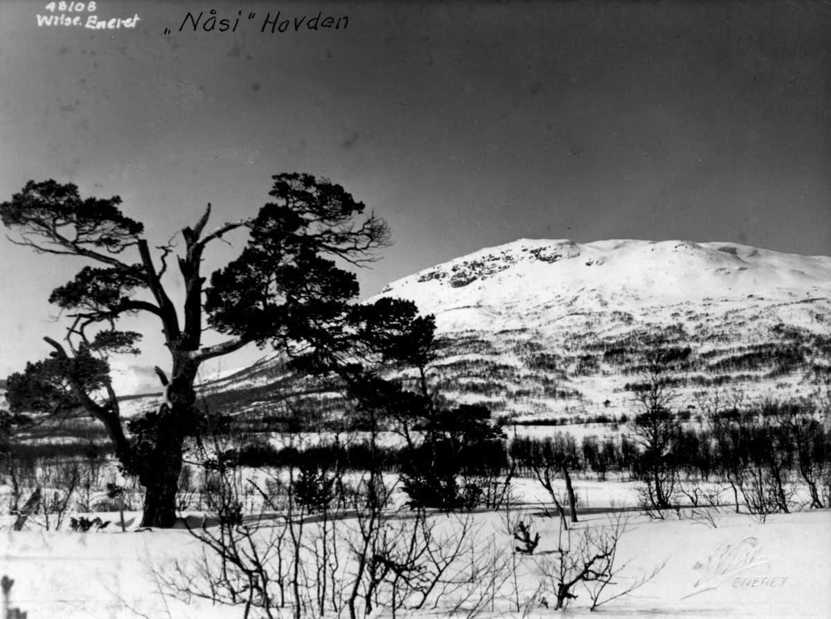 Anders Beer Wilse, Vinter, sno, Nosa, Hovden.