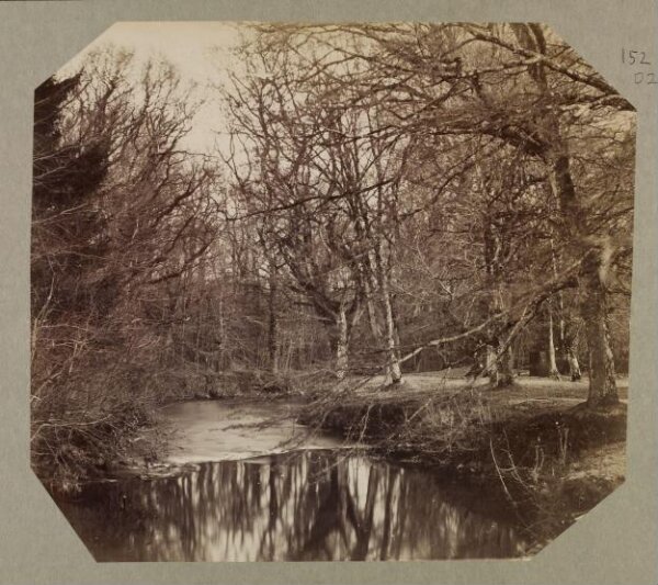 Clementina, Lady Hawarden, Photograph