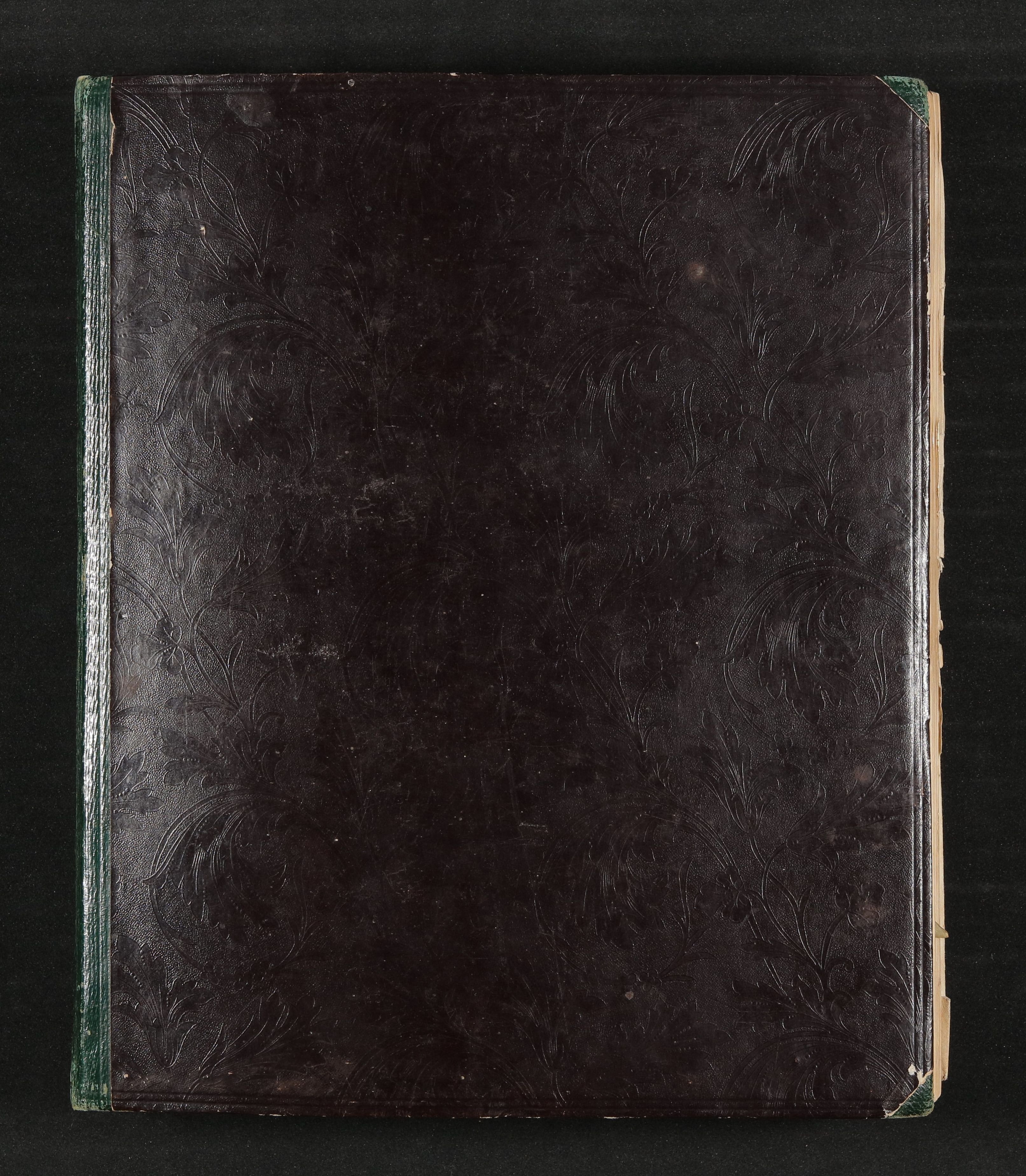 Maximiliane von Arnim, Souvenir-Album der Maximiliane von Arnim mit eingeklebten Blumen und Pflanzen, Zeichnungen, Hotel- und Ereignissouvenirs