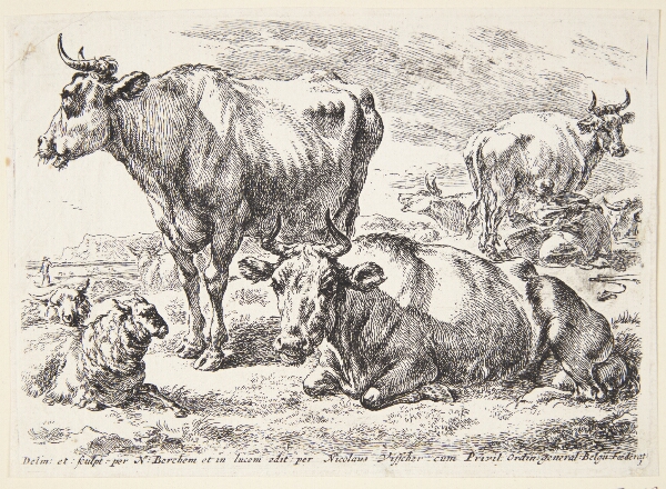 Hendrick Goltzius, Portræt af et medlem af Out-familien. Cornelis Out (?)