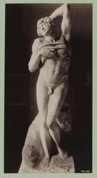 Unknown, Photograph