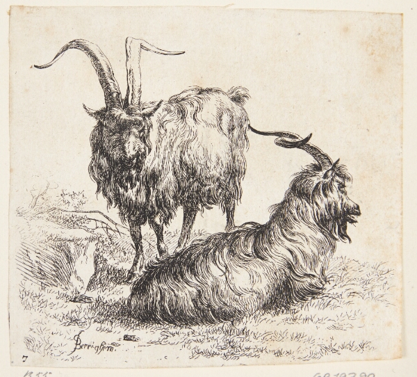 Nicolaes Berchem, En stående og en liggende ged