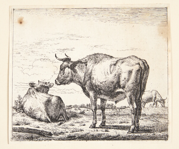 Adriaen van de Velde, Stående tyr