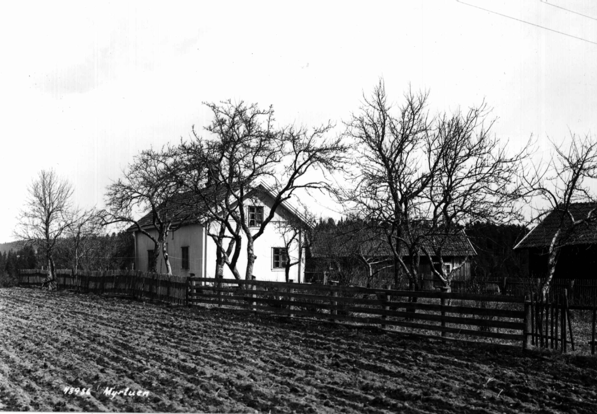 Anders Beer Wilse, Maurtu gård, Oslo, Østre Aker. Husene og hagen sett fra et jorde. Gården het tidligere Grimsrud.