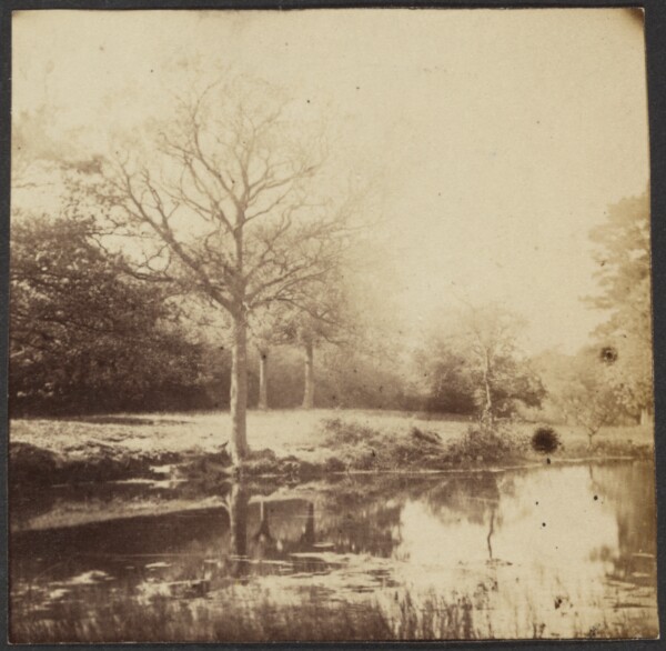 Unknown, [Landscape]