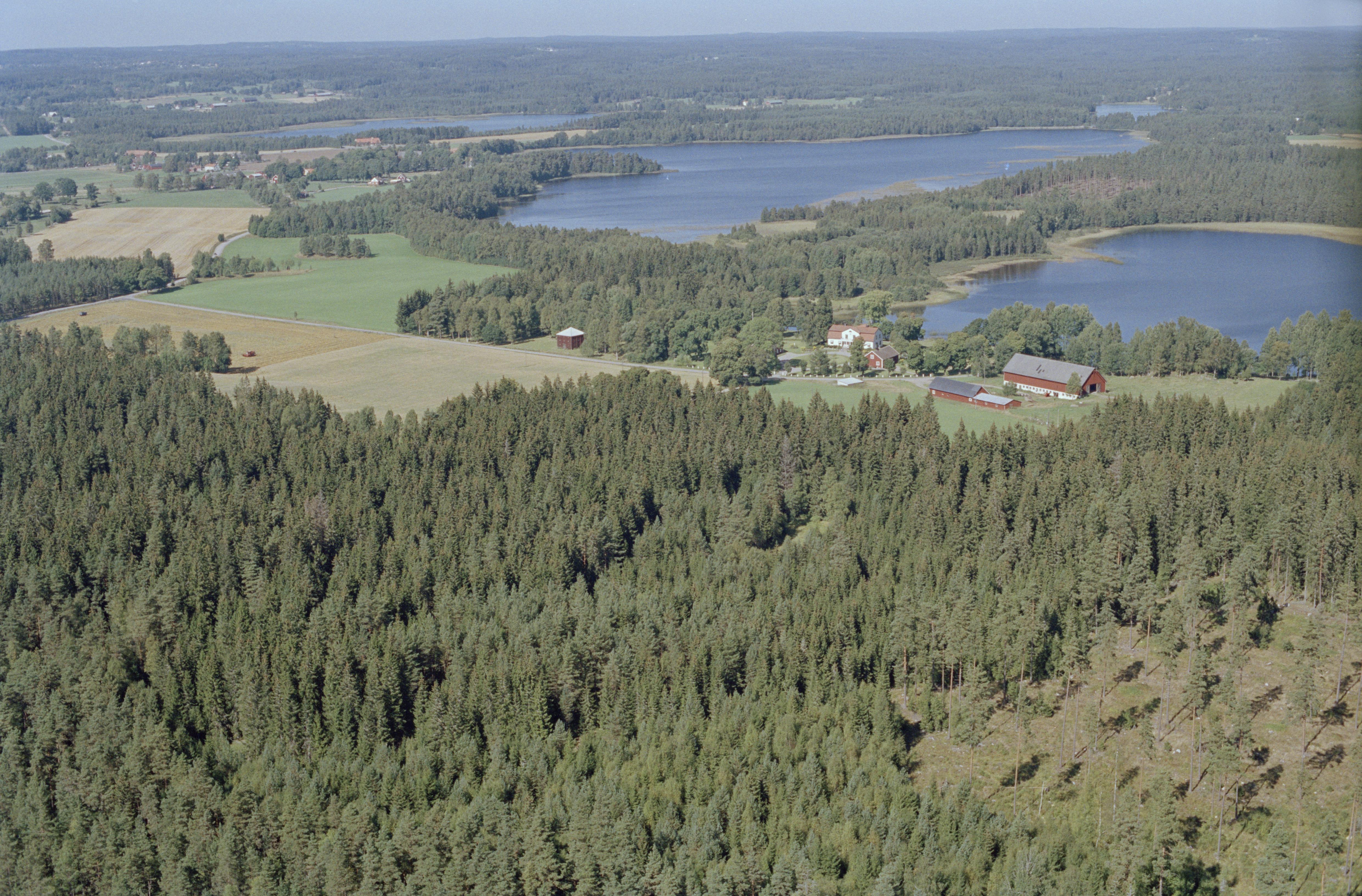 Jan Norrman, Prinsnäs