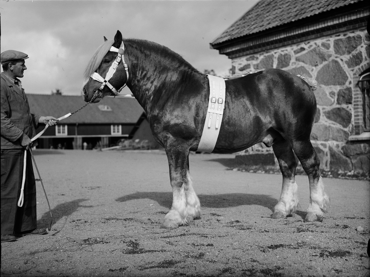 Paul Sandberg, Man och häst, Uppland 1944