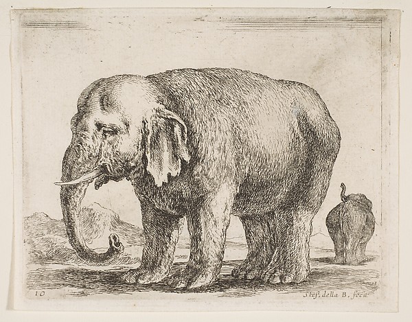 Stefano della Bella, Elephant, plate 10 from "Various Animals" (Diversi Animali)