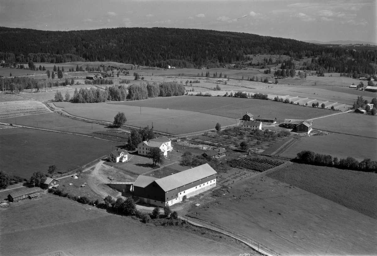 Widerøes Flyveselskap A/S, Flyfoto av Holo-garder, Gaupen, Ringsaker.
