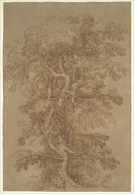 Salvator Rosa, A Large Tree