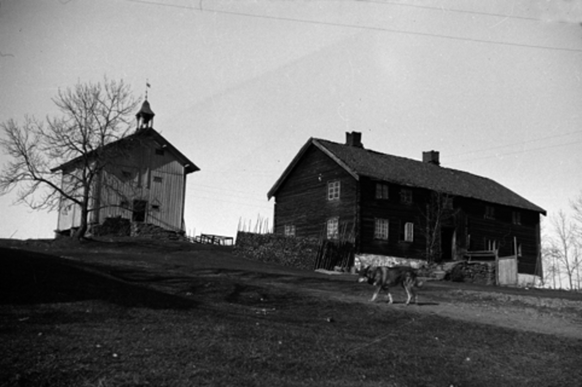 Toralv Bleken-Nilssen, HOVIN. VESTRE. FURNES i Ringsaker. STABBUR. BYGNING. FB2. 481. 739-1.