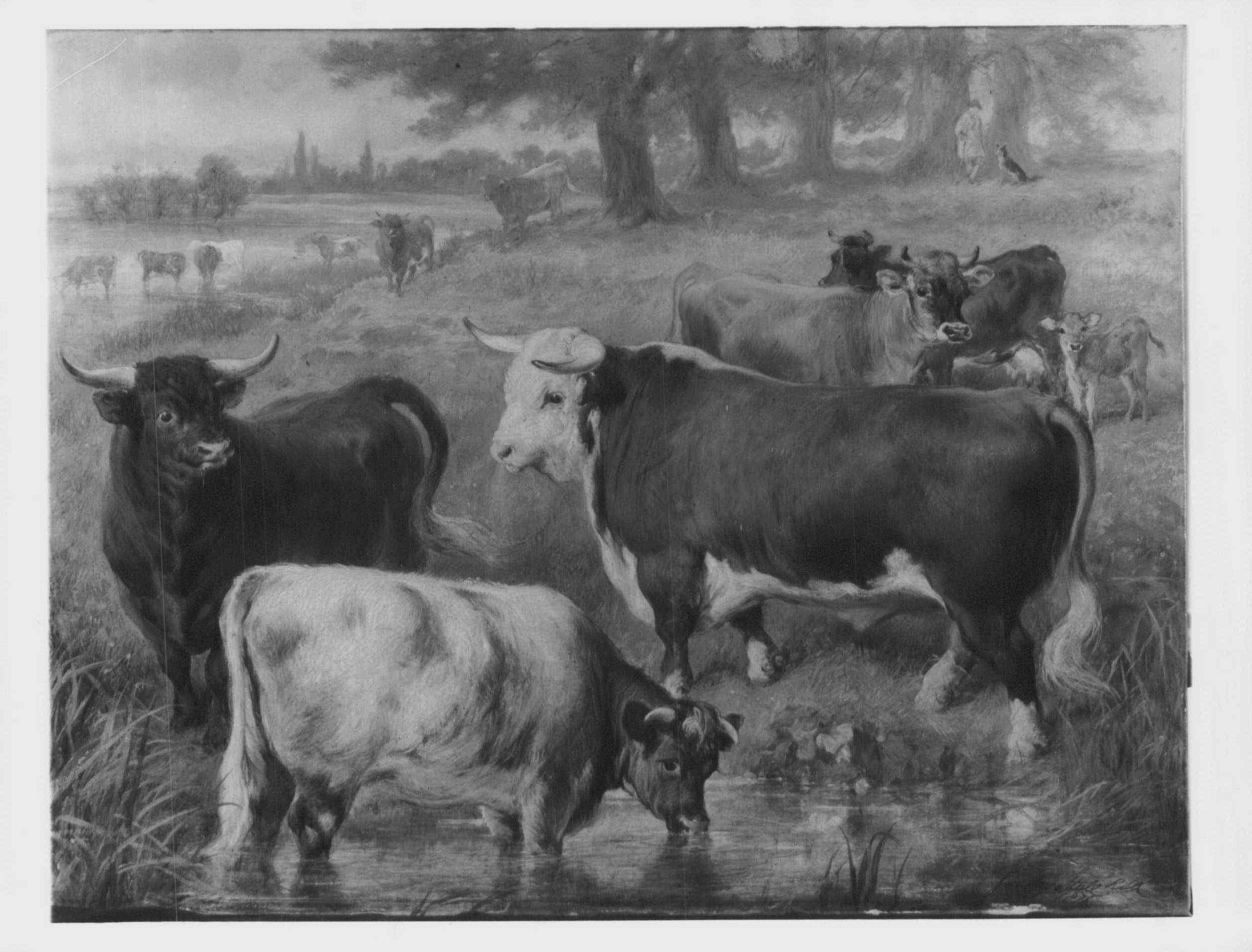 Gourlay Steell, Favourite Cattle at Windsor