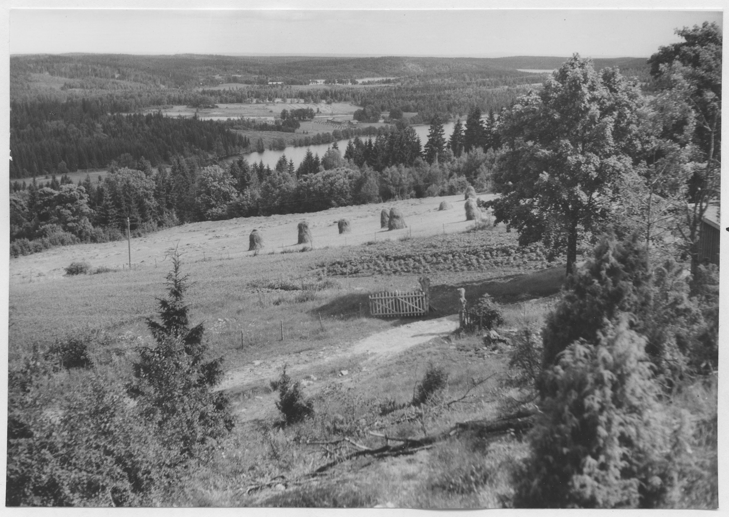 Mårten Sjöbeck, Högheden