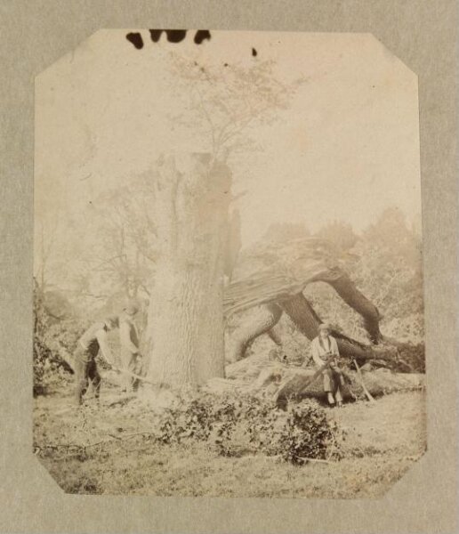 Clementina, Lady Hawarden, Photograph