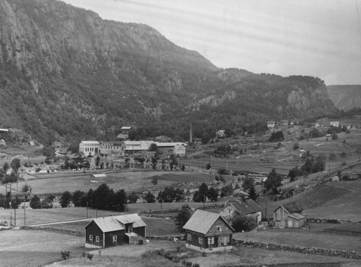 Anders Beer Wilse, Wilse original, oversikt Træland