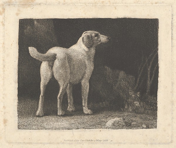 George Stubbs, Dog (A Foxhound Viewed from Behind)