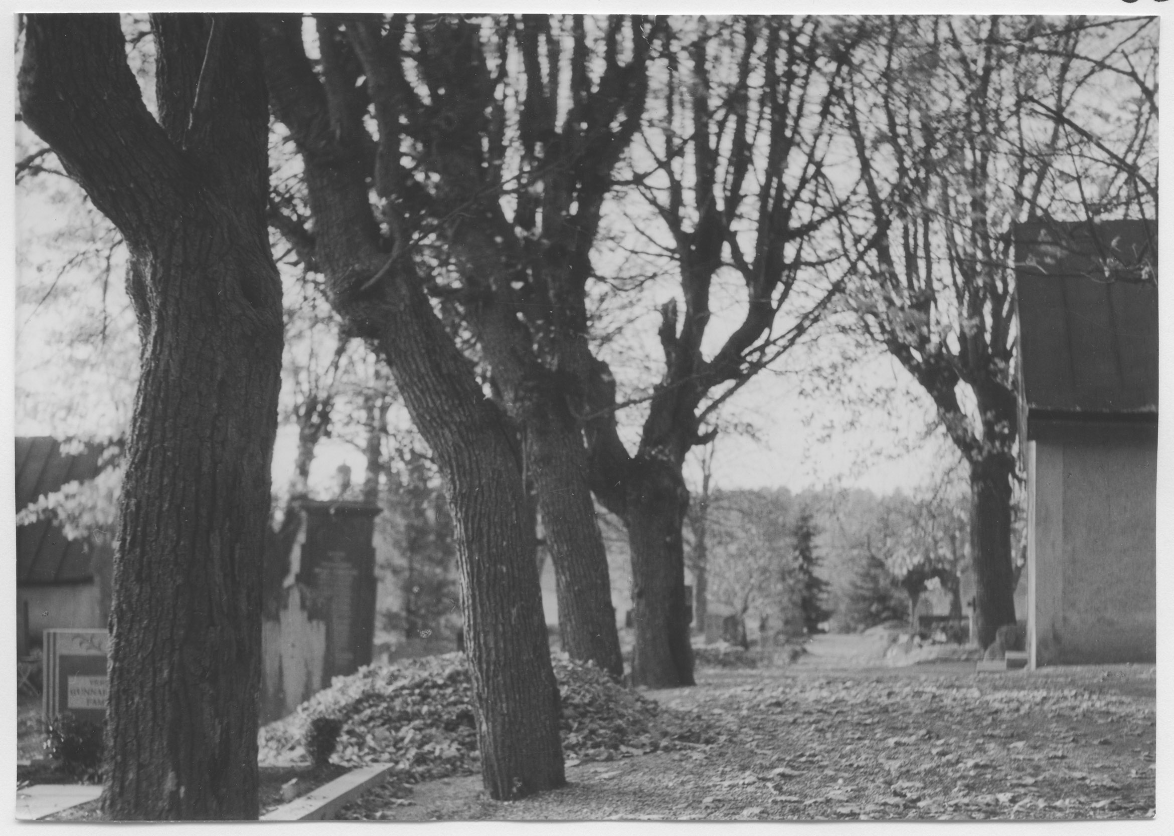 Mårten Sjöbeck, Sånga kyrka