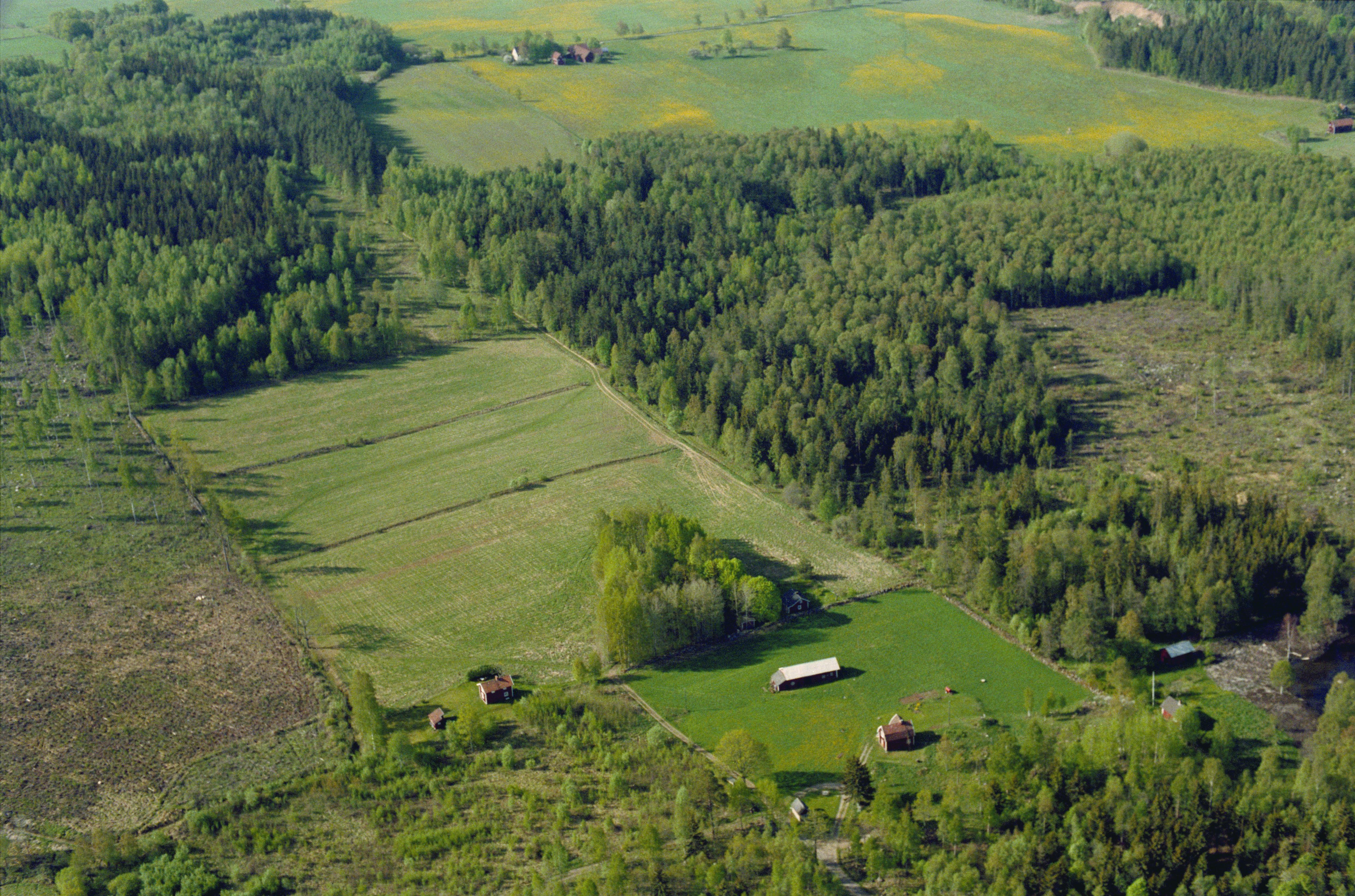 Jan Norrman, Viby 295
