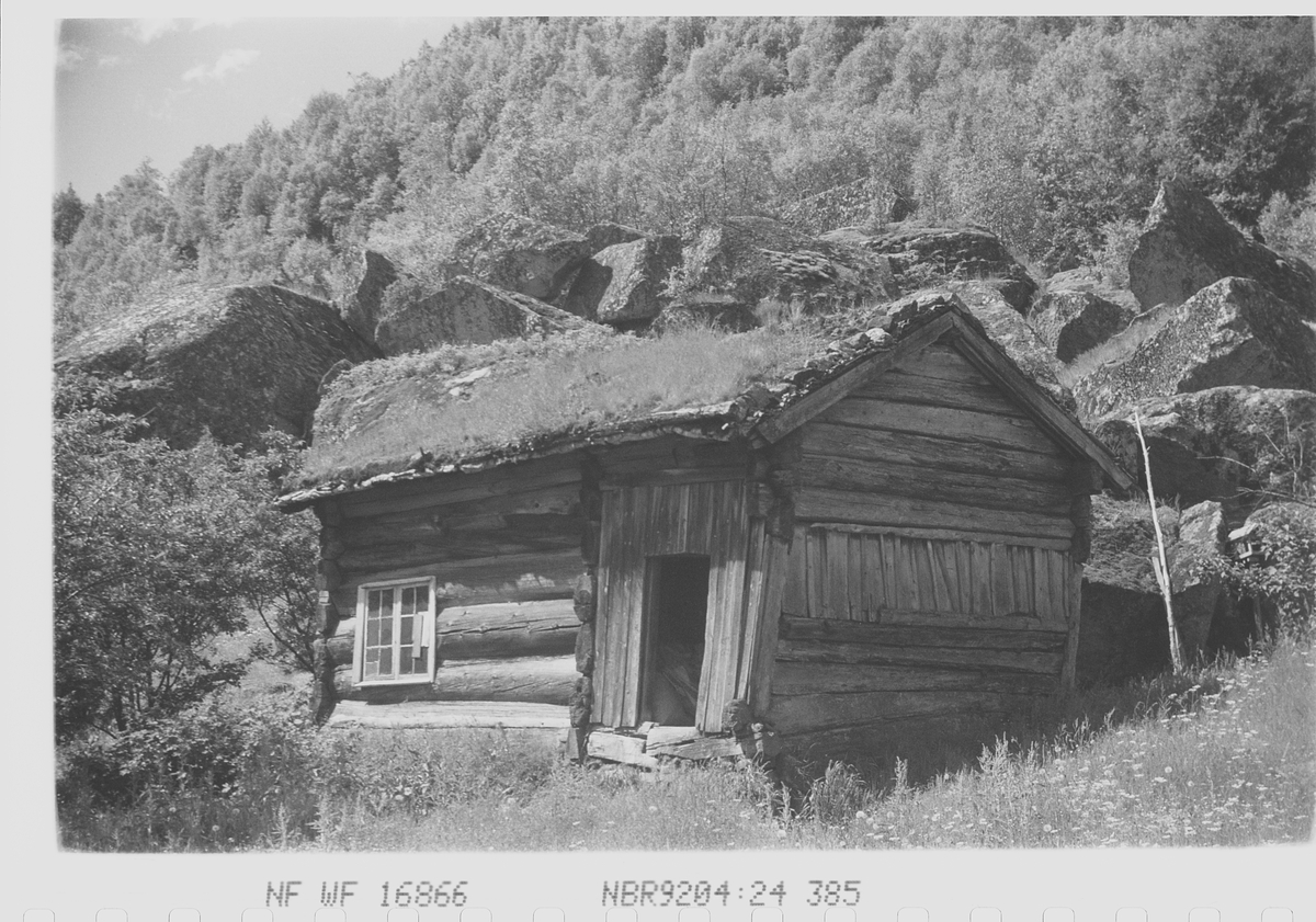 Anders Beer Wilse, Prot: Setesdalsgård