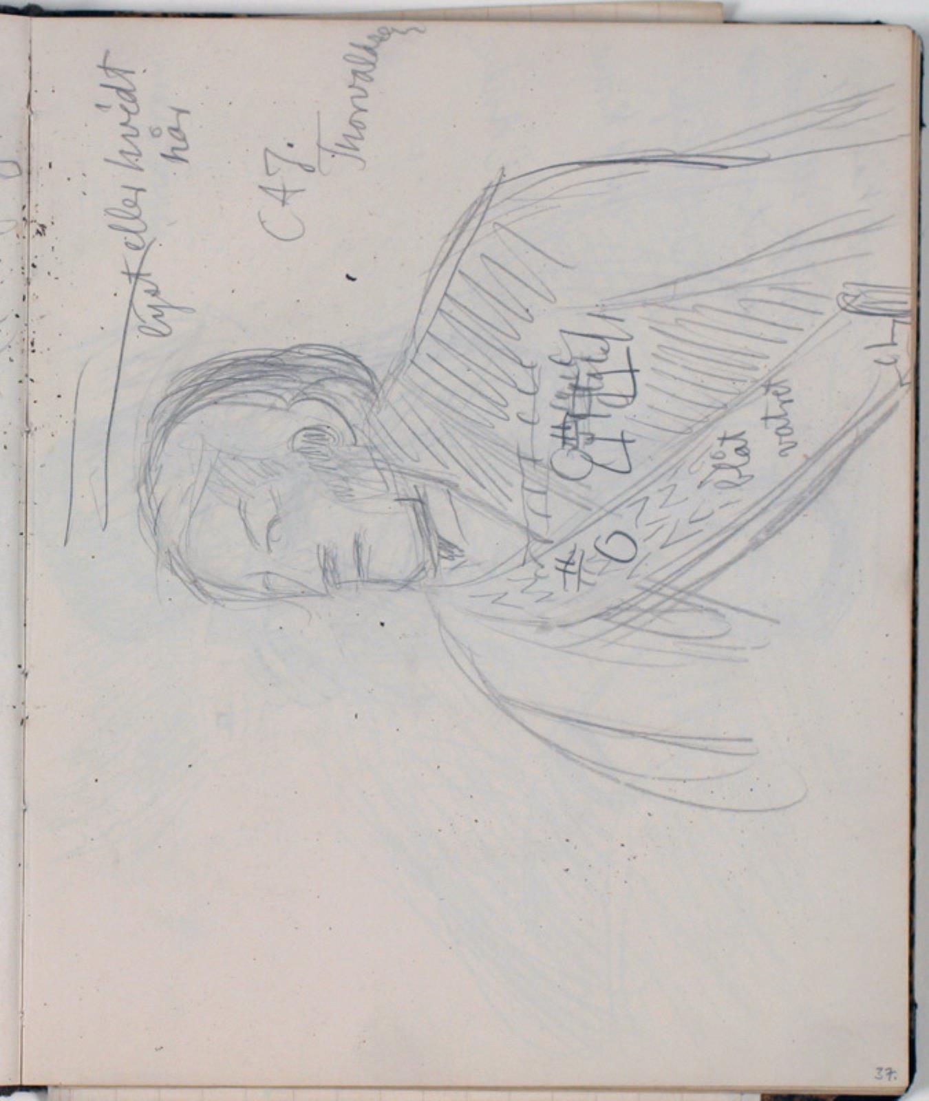 Niels Larsen Stevns, Studie af Thorvaldsen efter maleri af C. A. Jensen. Farveangivelser