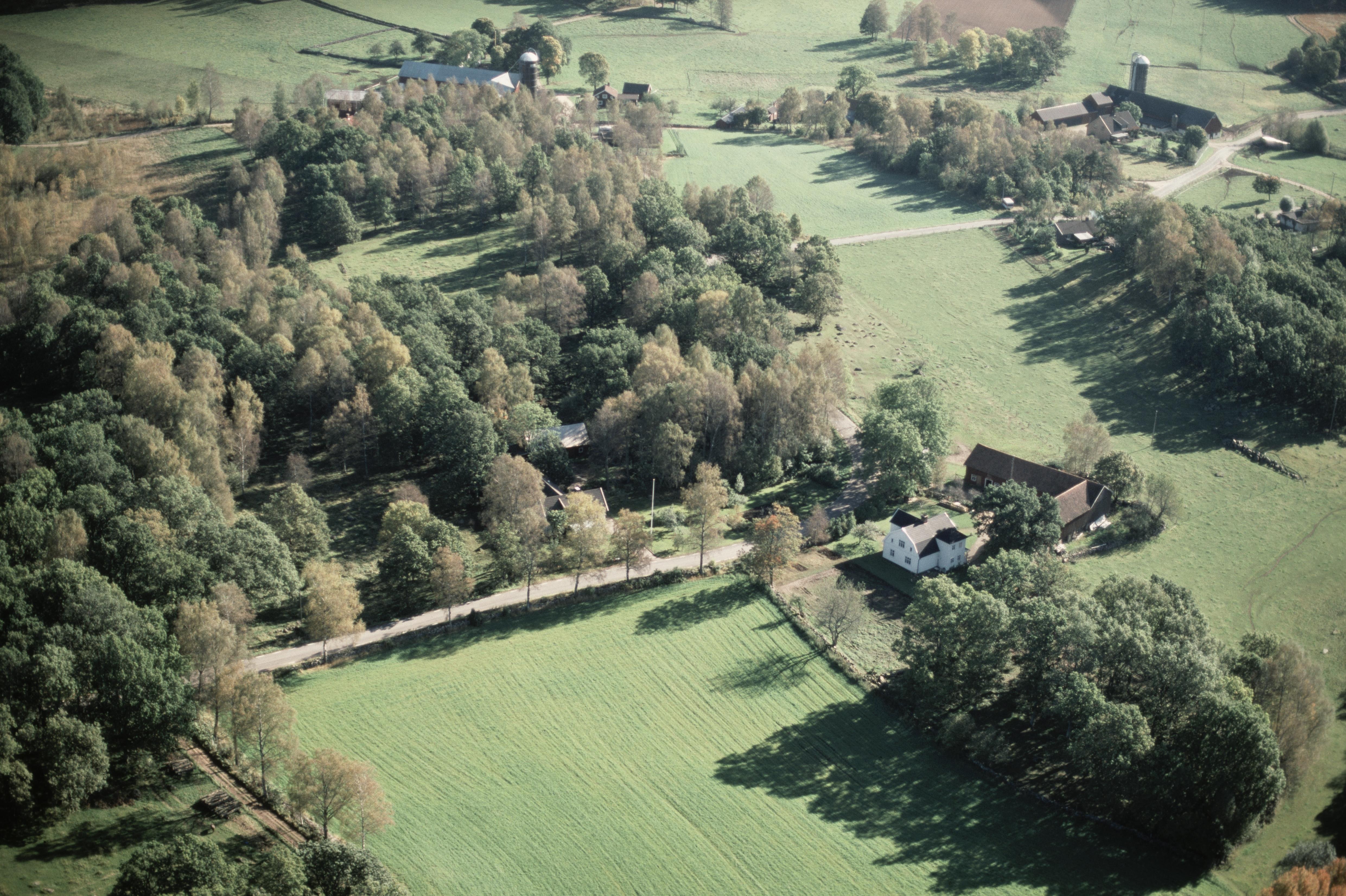 Jan Norrman, Siene