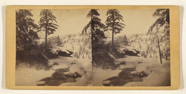 Edward and Henry T. Anthony & Co., Winter in the Catskills. [Ice and snow]